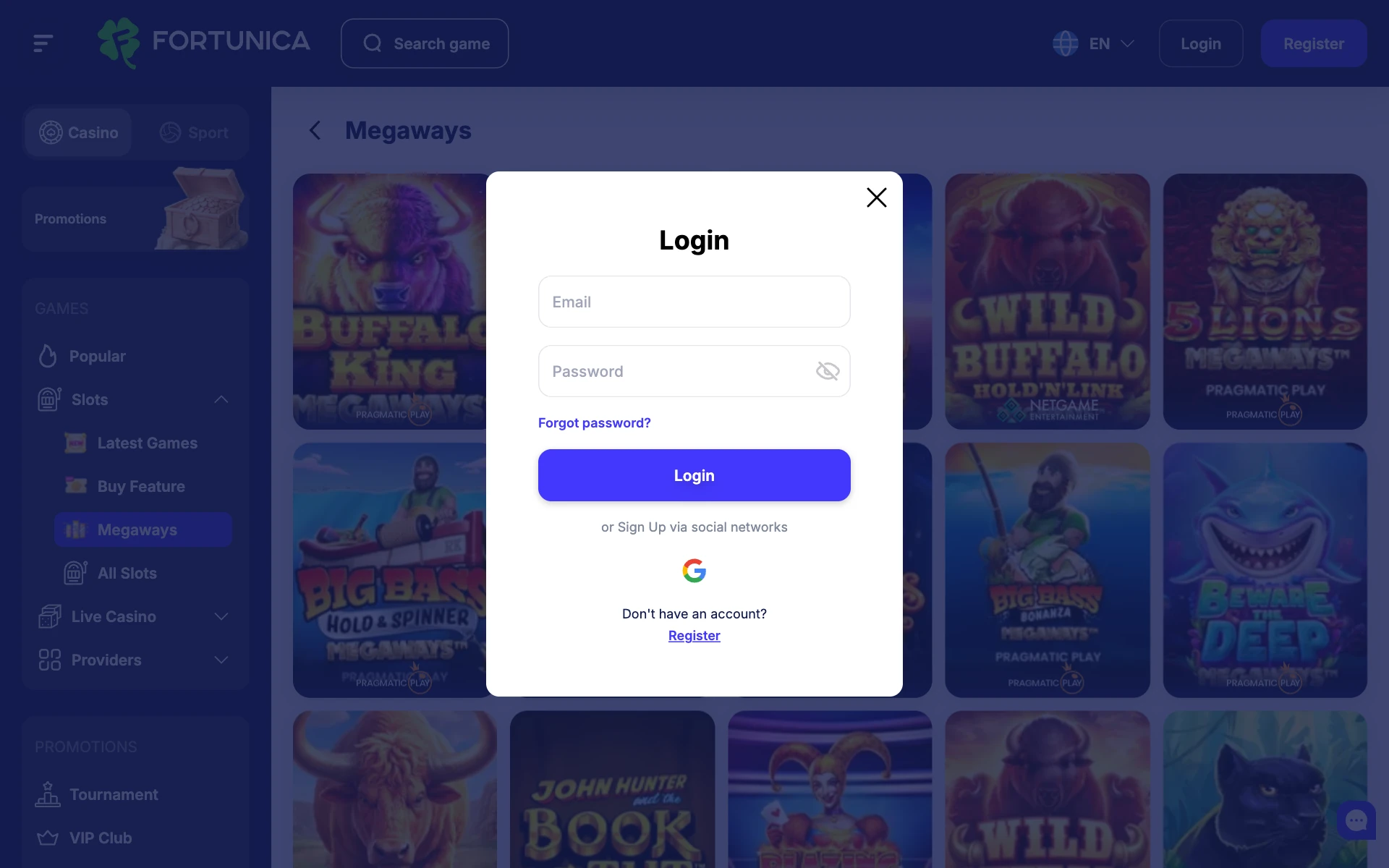 Fortunica login window with e-mail, password and Google sign-in